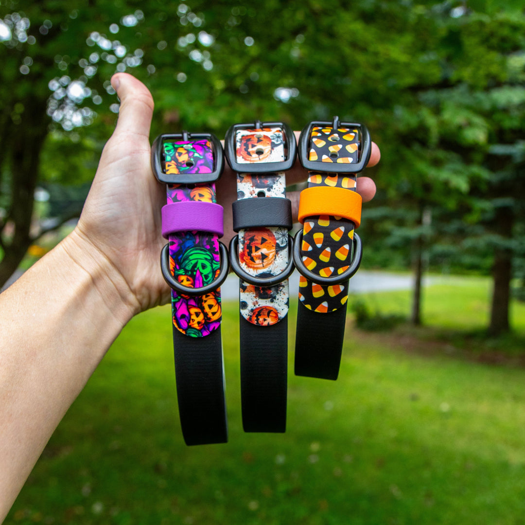 A hand holds four colorful dog collars with Halloween-themed patterns, including pumpkins, ghosts, and skulls, against a blurred green park background.