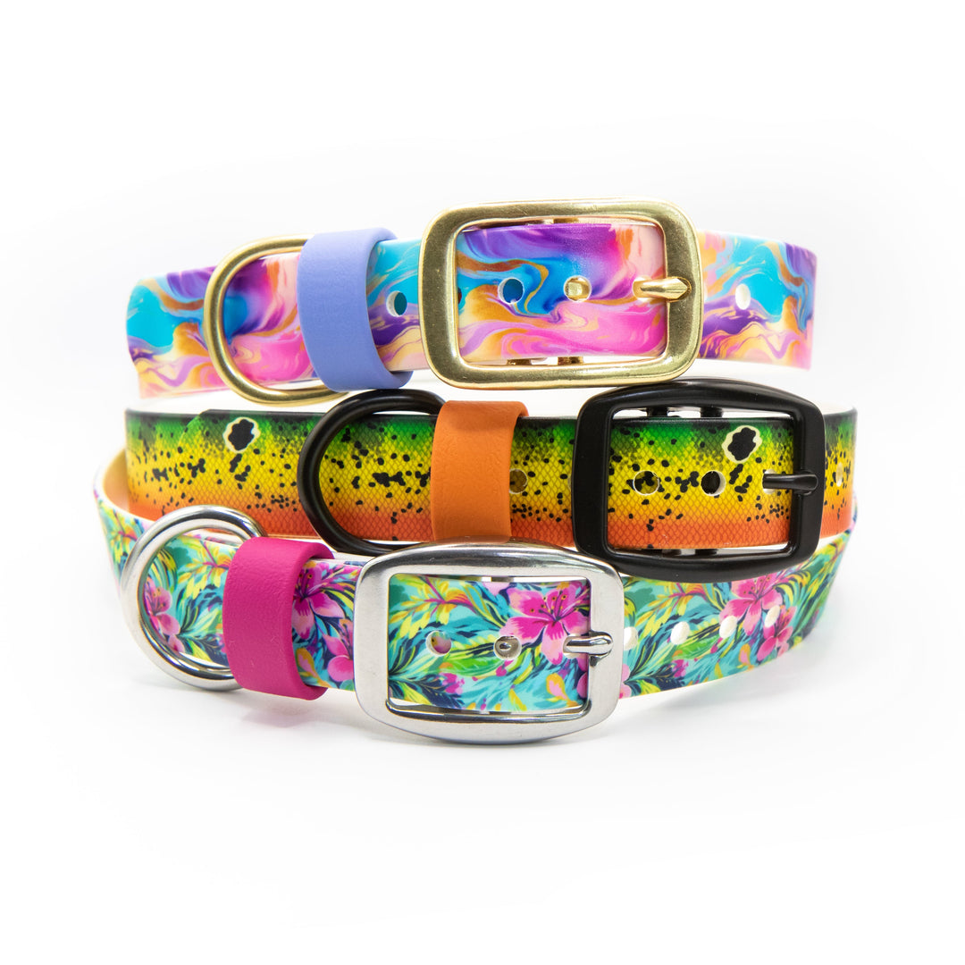 UV-Printed BioThane® Dog Collars | Waterproof Pet Gear