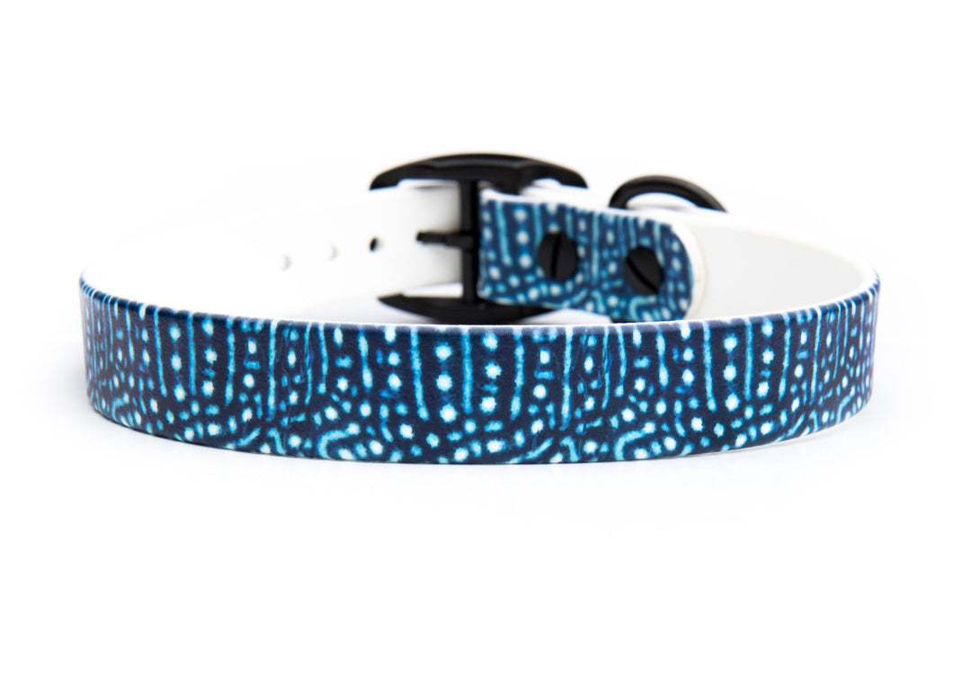 Whale Shark BioThane® Dog Collar | Waterproof Pet Gear
