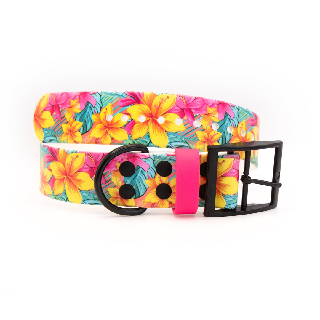 Hawaiian Floral 1.5" Waterproof BioThane Collar