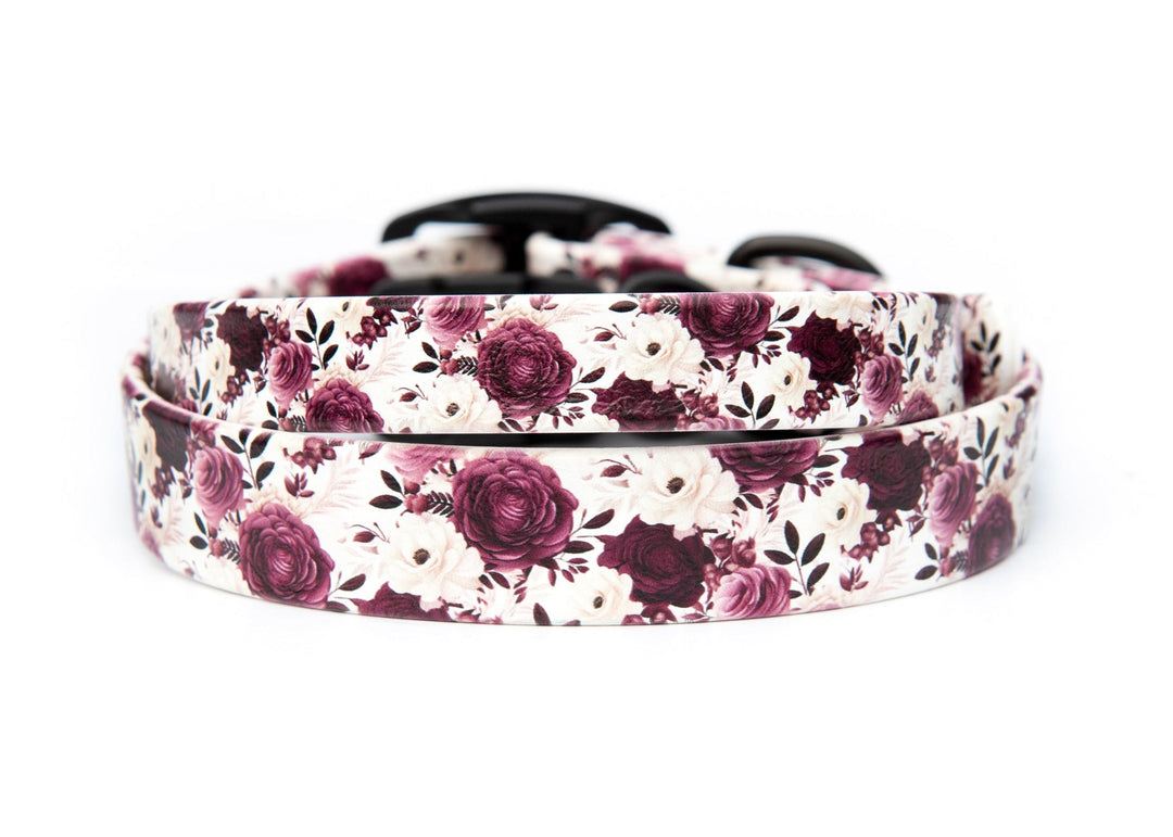 Floral patterned dog collar on a white background