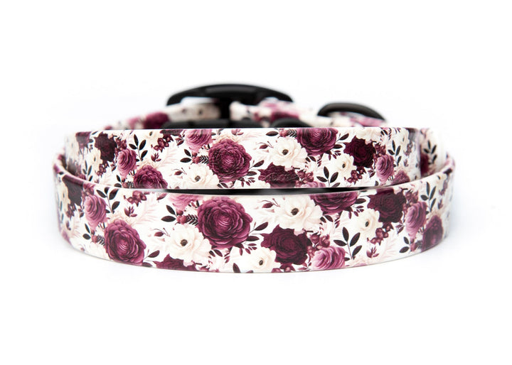 Floral patterned dog collar on a white background