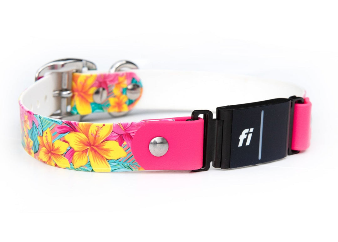 Fi Series 3/3+ Compatible Floral BioThane Collar | SeaFlower Co