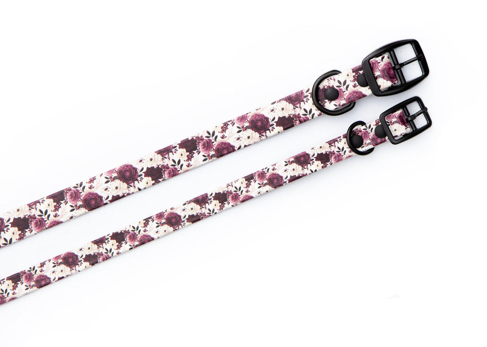 Two floral-patterned dog collars with black buckles on a white background