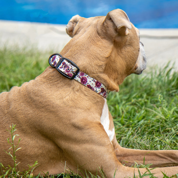 Dog wearing a floral collar sitting on grass with a blurred background