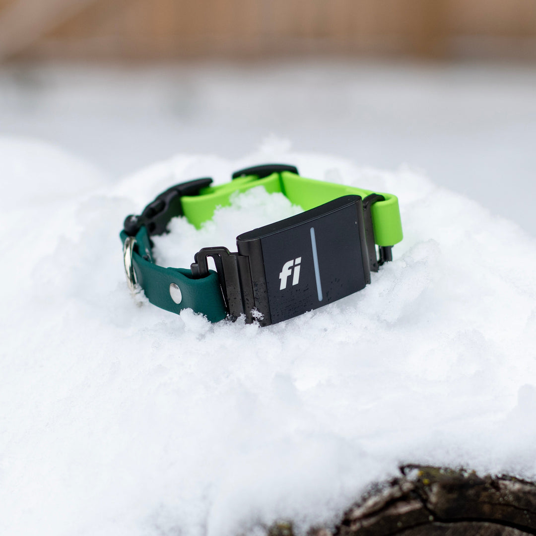 Fi Compatible 3/3+ Extra Small 5/8" BioThane® Collar With Quick Release Buckle