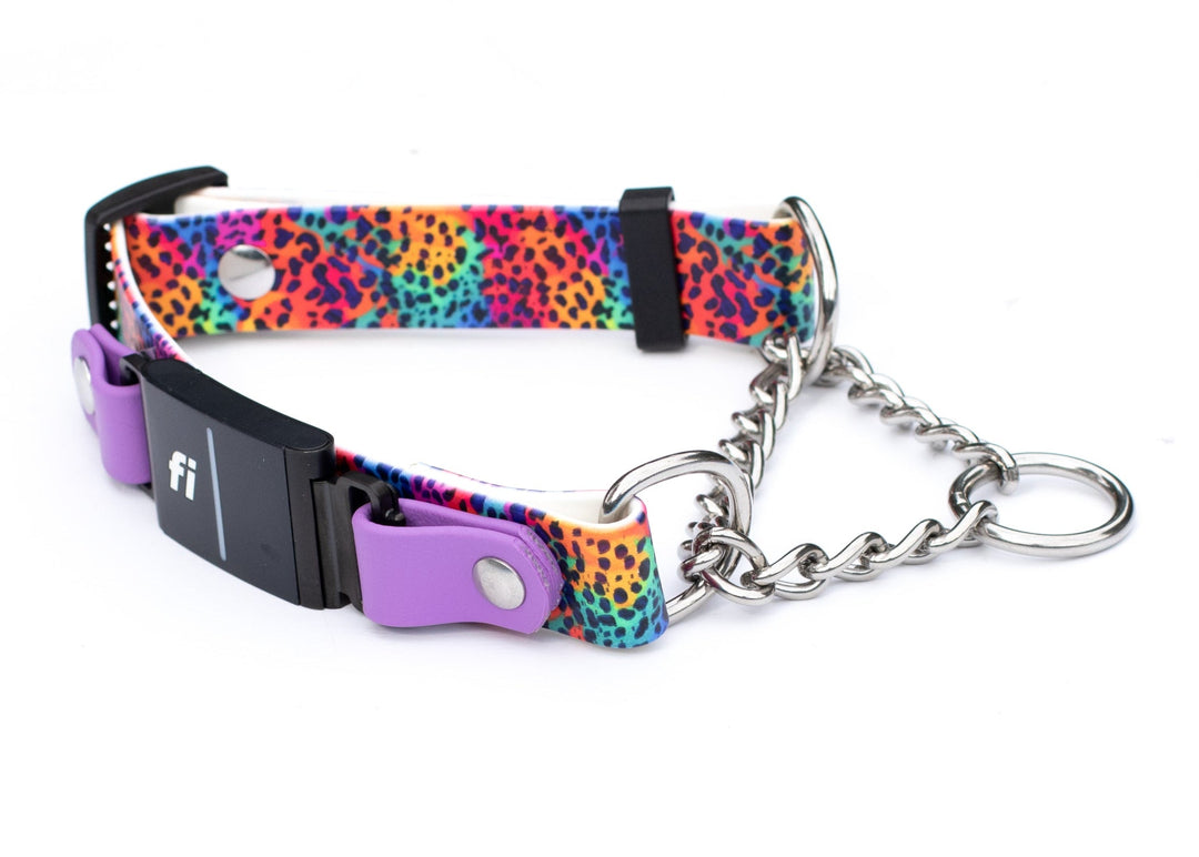 Fi Compatible 3/3+ Rainbow Leopard Adjustable Biothane Martingale With Buckle | SeaFlower Co