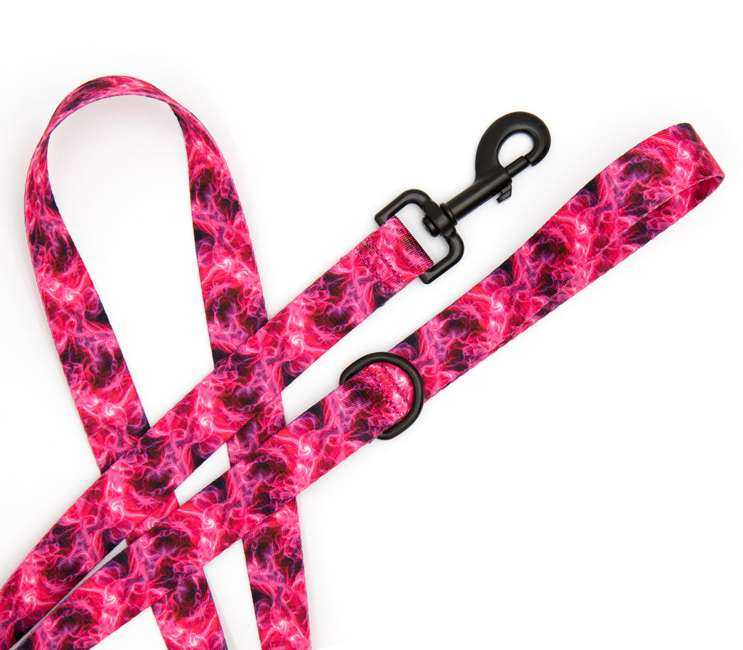 Pink and black patterned dog leash on a white background