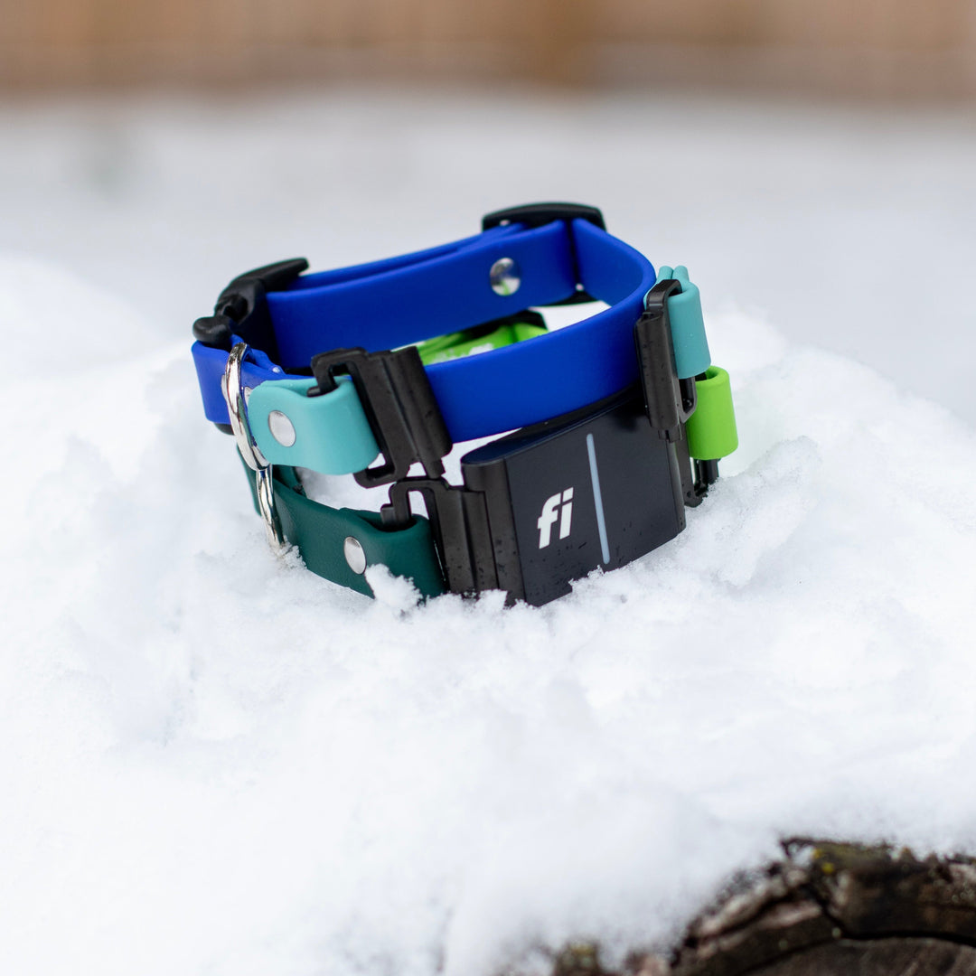 Fi Compatible 3/3+ Extra Small 5/8" BioThane® Collar With Quick Release Buckle