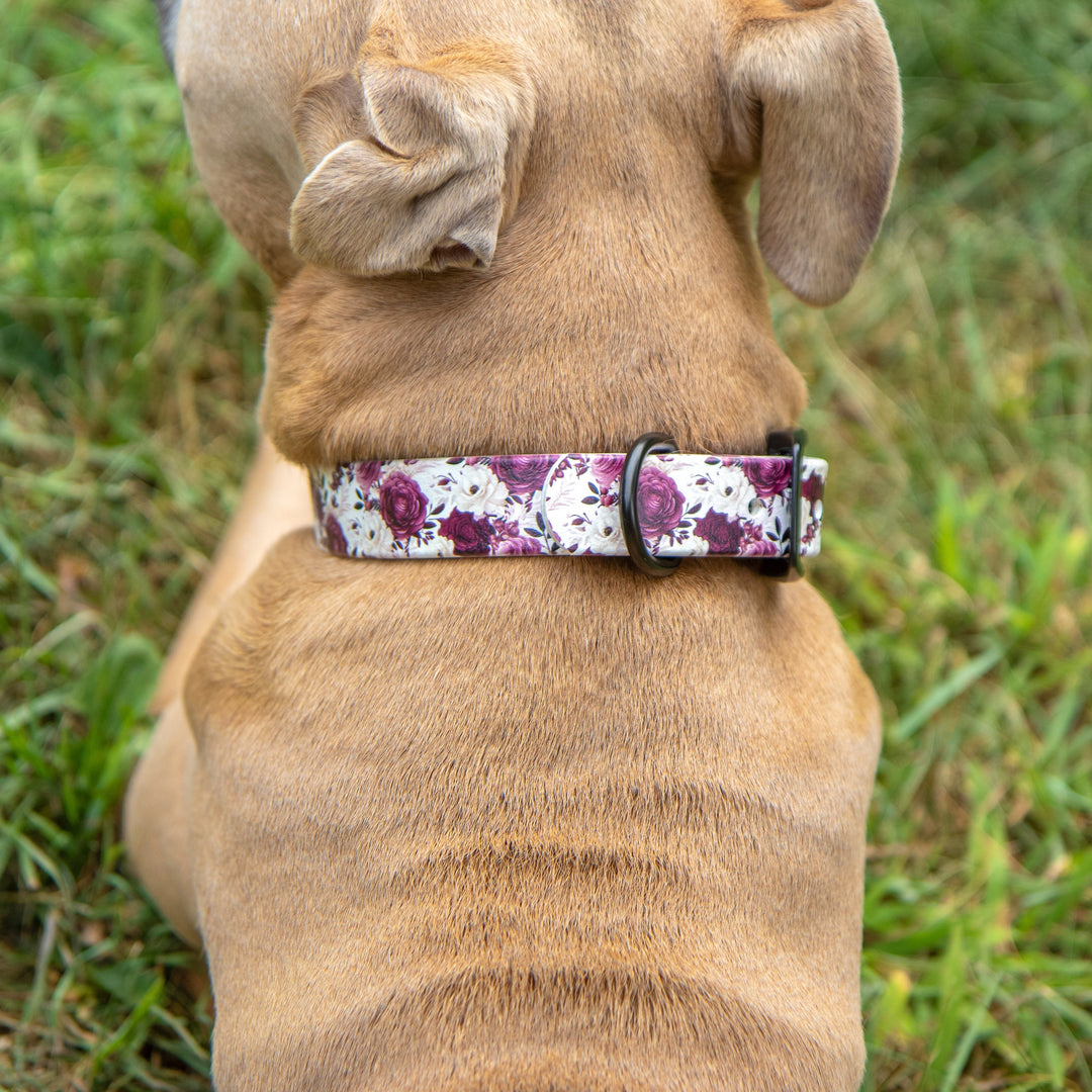 Dog wearing a floral collar sitting on grass