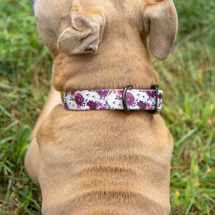 Dog wearing a floral collar sitting on grass