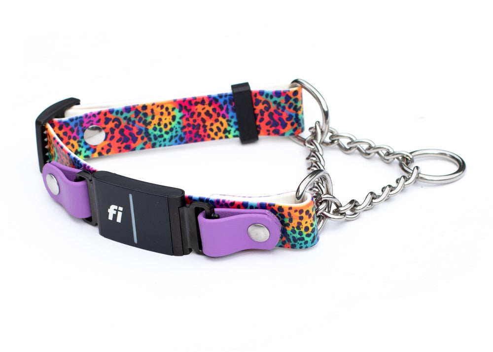 Fi Compatible 3/3+ Rainbow Leopard Adjustable Biothane Martingale With Buckle | SeaFlower Co