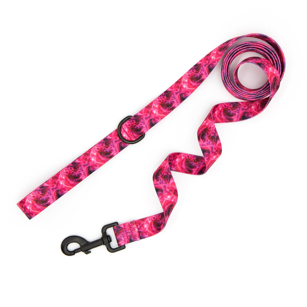 Pink and black patterned dog leash on a white background