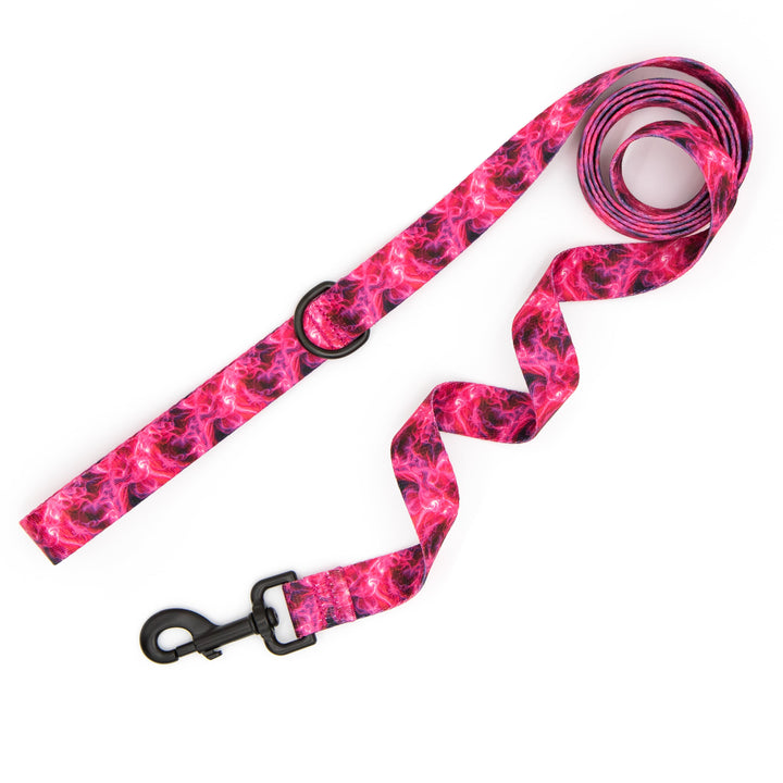 Pink and black patterned dog leash on a white background