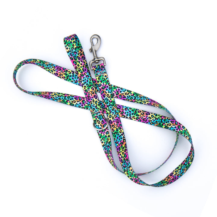 Colorful leopard print dog leash on a white background