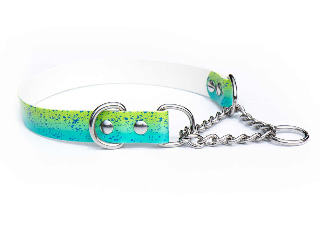 UV printed BioThane Martingale Collar | Waterproof Dog Gear