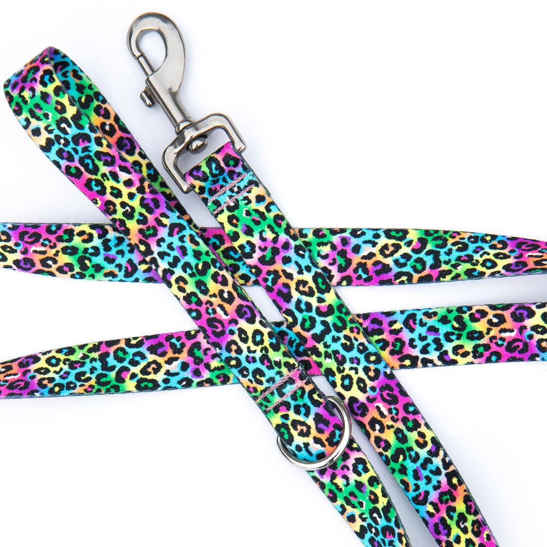 Dog leash with colorful leopard print pattern on a white background