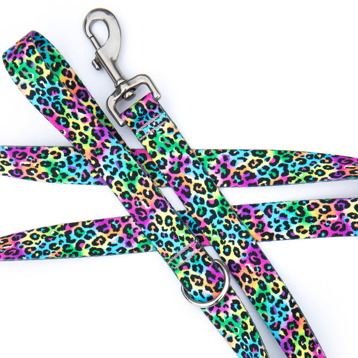 Dog leash with colorful leopard print pattern on a white background