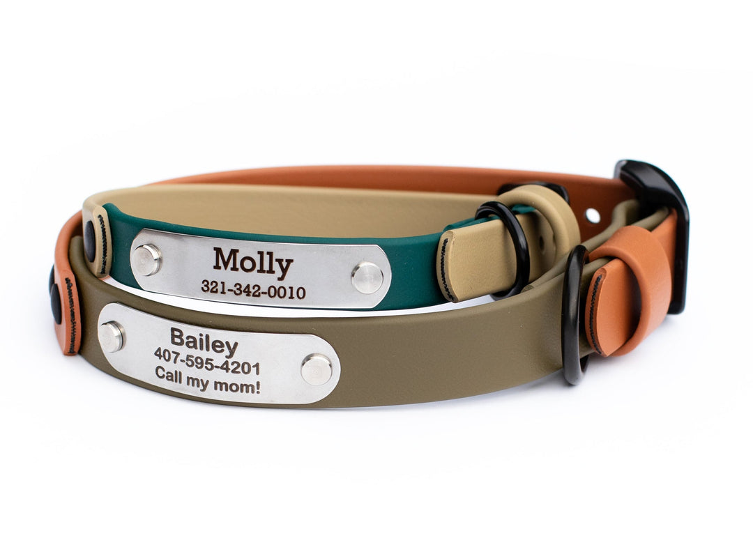 Personalized Waterproof Collar | SeaFlower Co