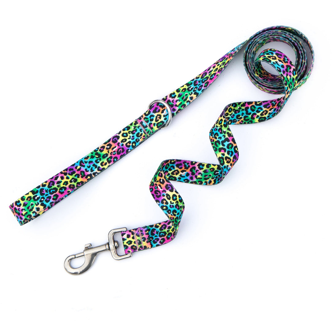 Dog leash with colorful leopard print pattern on a white background