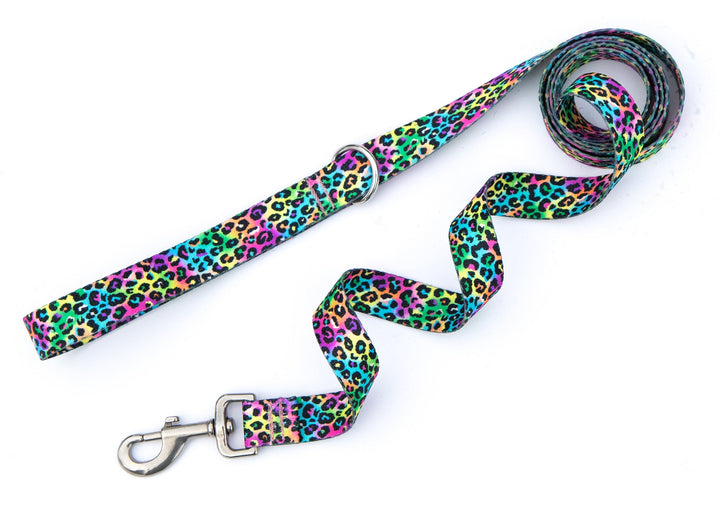 Colorful leopard print dog leash on a white background