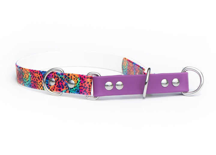 UV Printed BioThane® Limited Slip Collar | SeaFlower Co