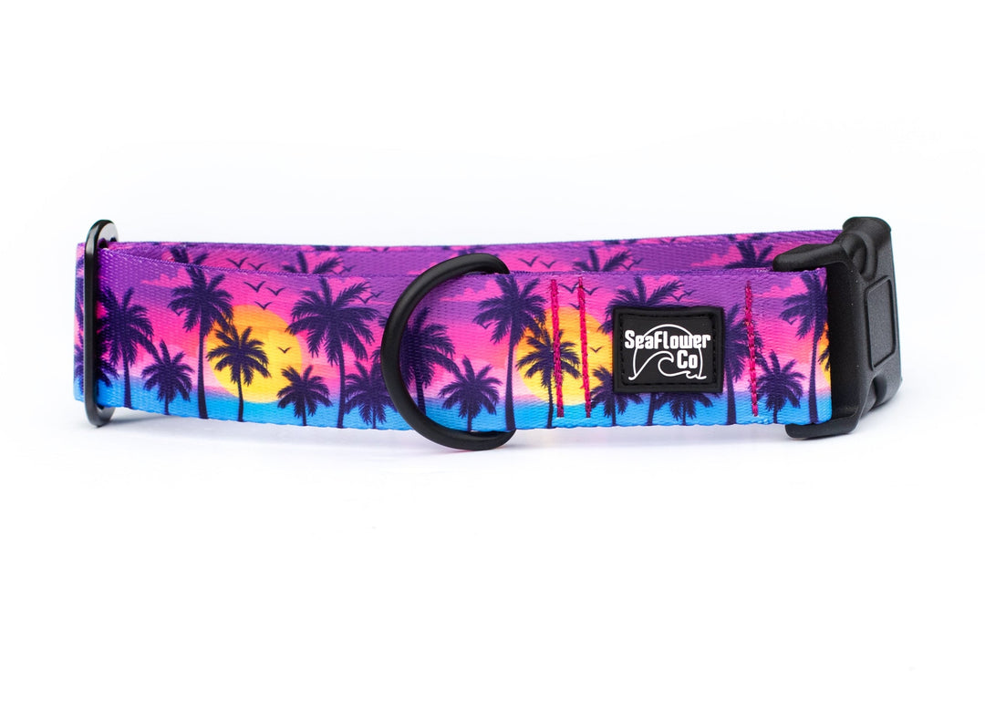Sunset Beach Dog Collar | SeaFlower Co