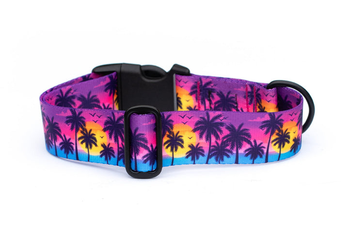 Sunset Beach Dog Collar | SeaFlower Co