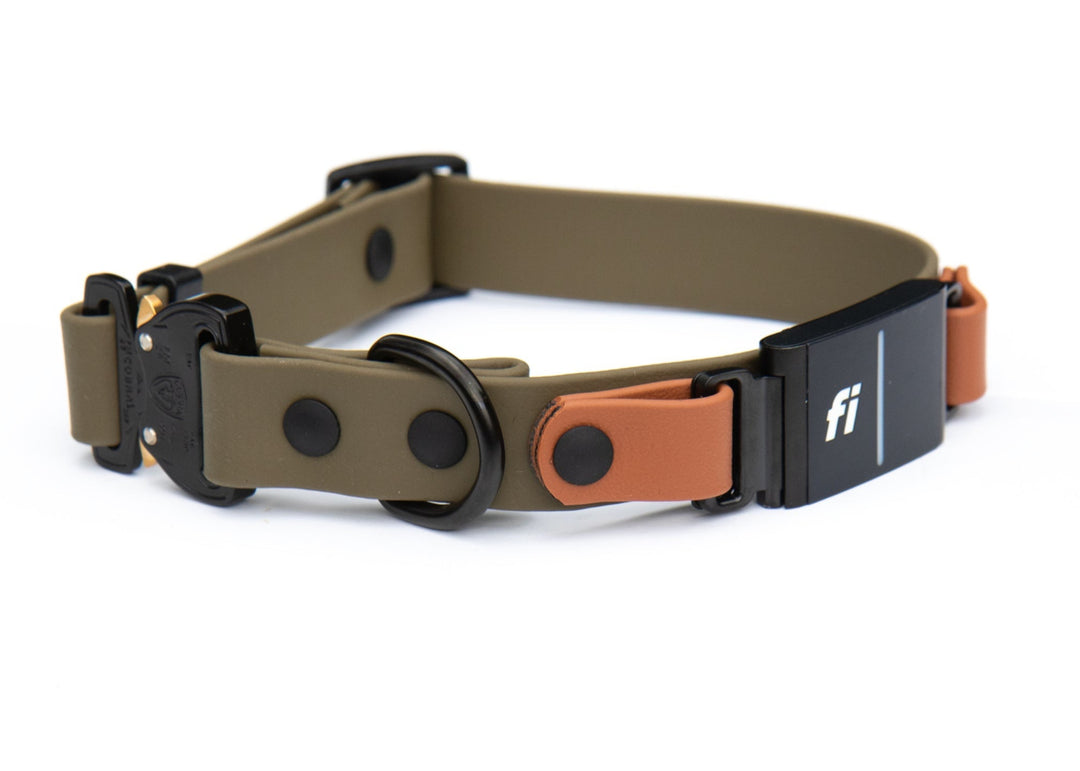 Fi Compatible 3/3+ Adjustable BioThane Collar With Quick Release Buckle | SeaFlower Co
