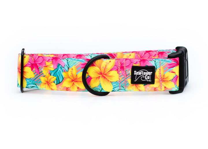  Vibrant Hawaiian Floral Dog Collar | SeaFlower Co