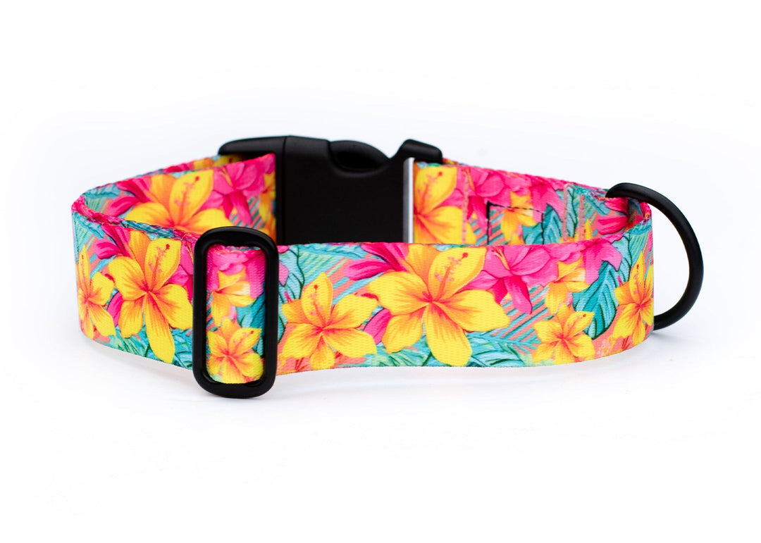 Vibrant Hawaiian Floral Dog Collar | SeaFlower Co