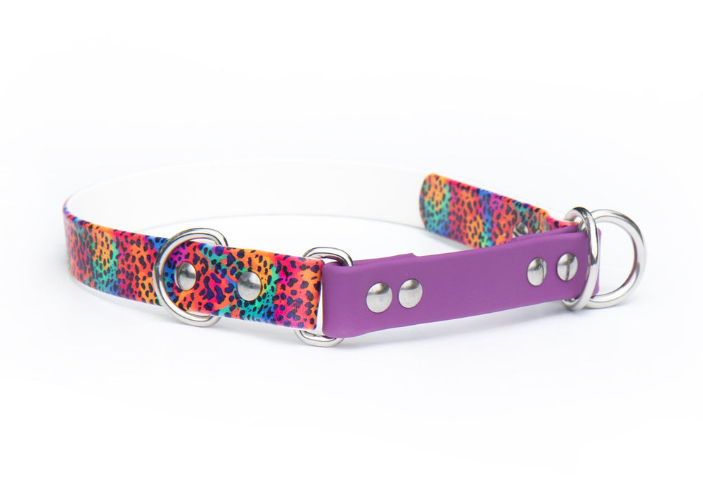 UV Printed BioThane® Limited Slip Collar | SeaFlower Co