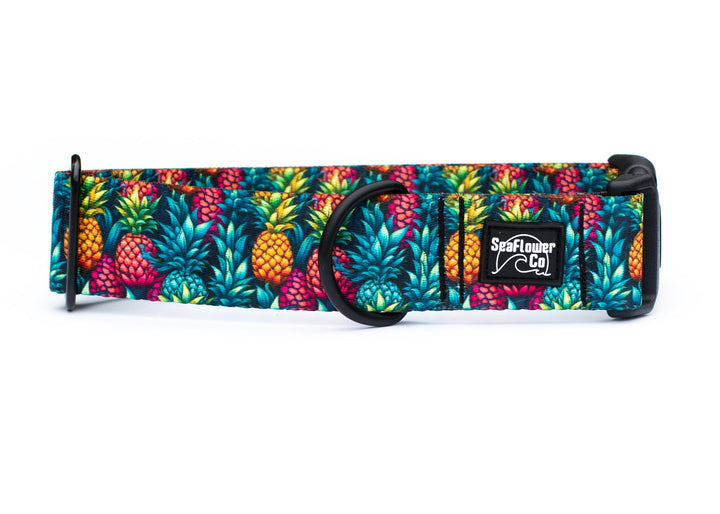 Colorful pineapple patterned dog collar on a white background