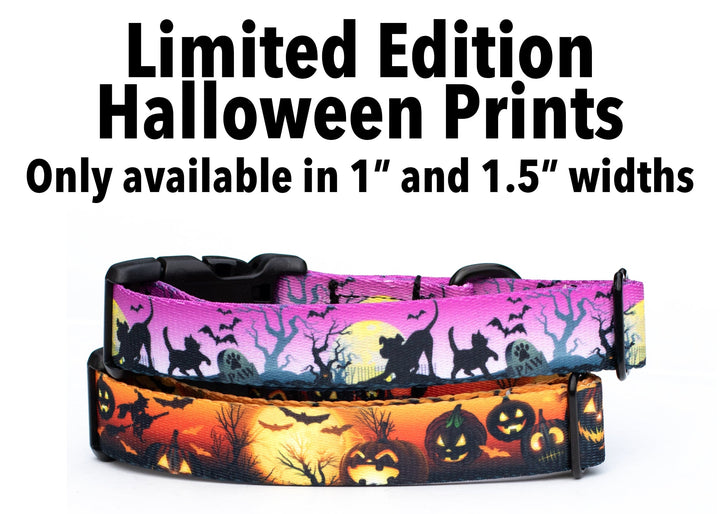 Limited Edition: Halloween Collars