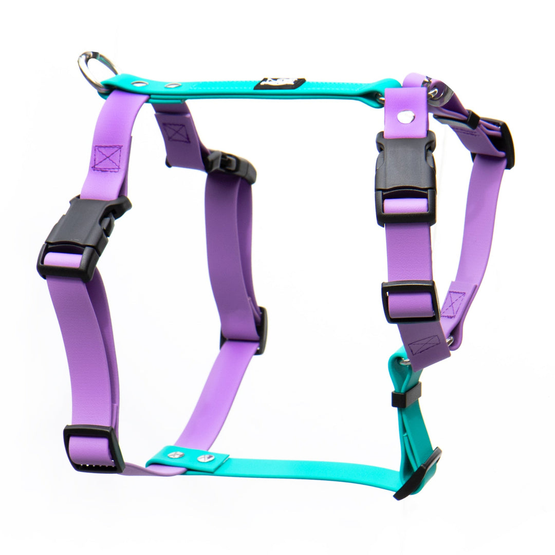 Waterproof Adjustable Dog Harness | SeaFlower Co
