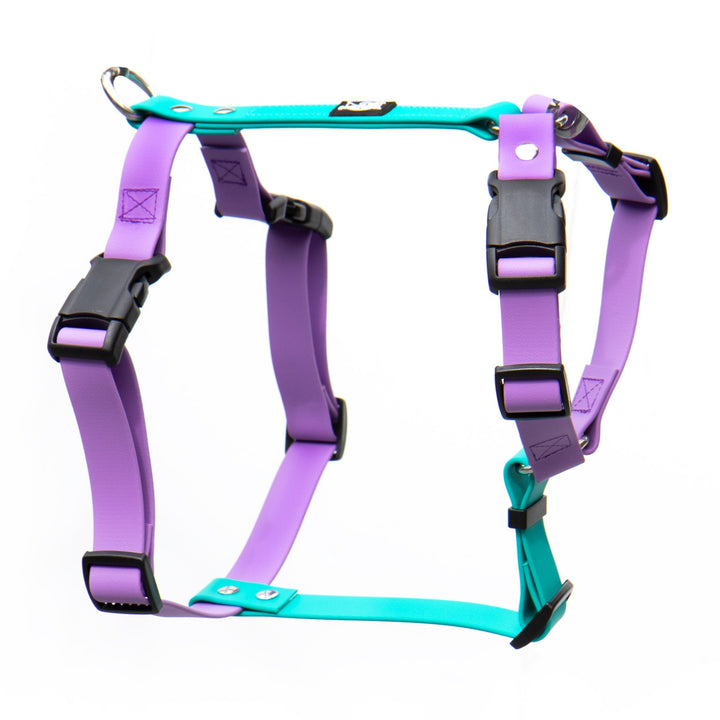 Waterproof Adjustable Dog Harness | SeaFlower Co