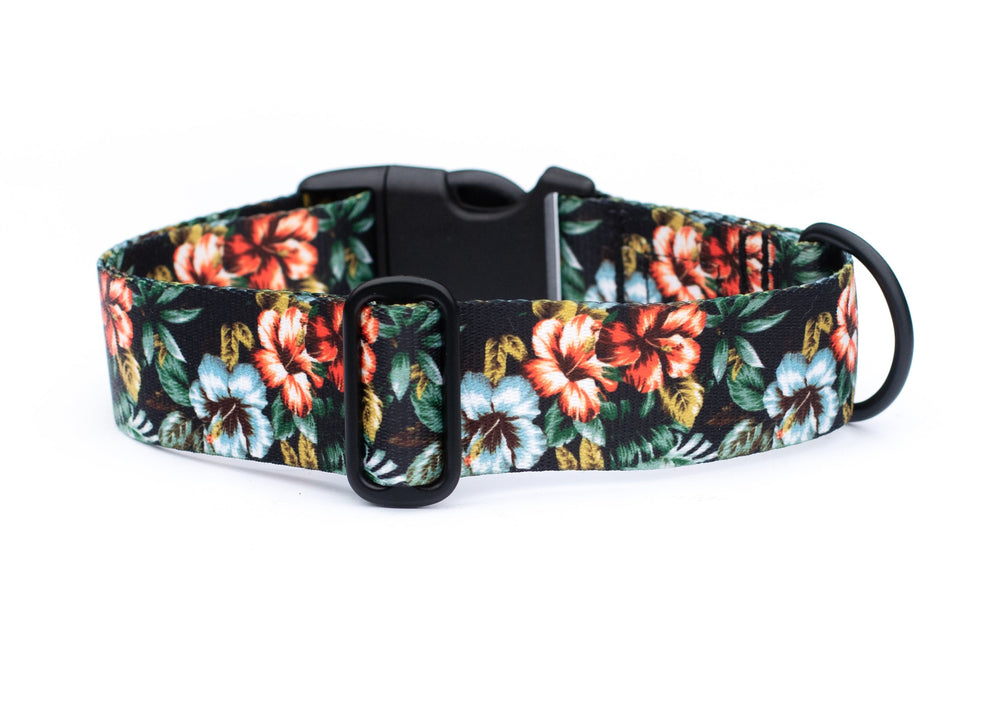 Floral-patterned dog collar on a white background