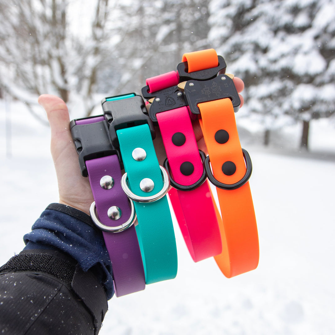 Adjustable BioThane® Dog Collar With Quick Release Buckle | Waterproof Pet Gear | SeaFlower Co
