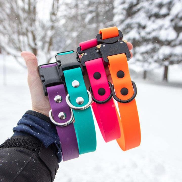 Adjustable BioThane® Dog Collar With Quick Release Buckle | Waterproof Pet Gear | SeaFlower Co