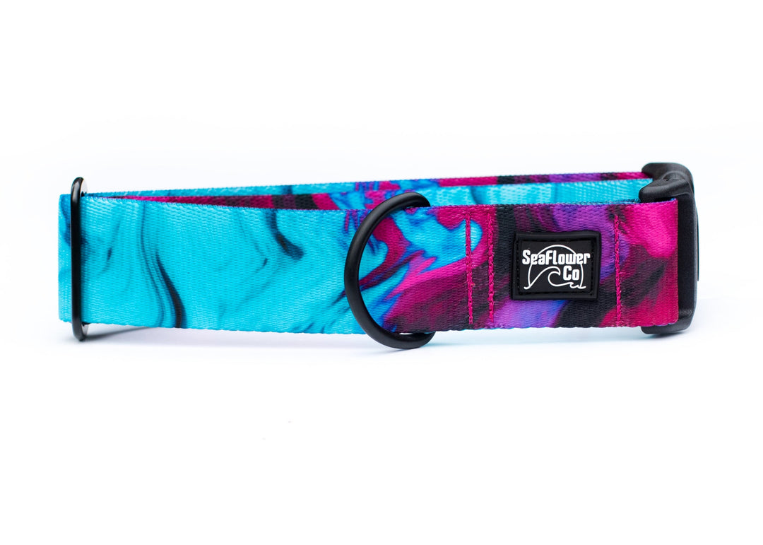 Colorful dog collar with a brand logo on a white background