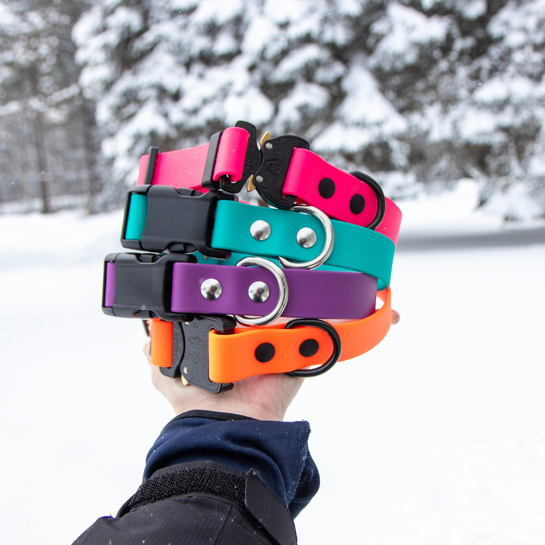 Colorful dog collars held by a person against a snowy background