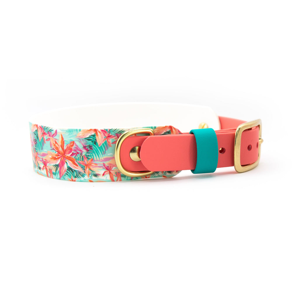 Hawaiian Floral UV Printed 1.5" Tapered BioThane® Collar | SeaFlower Co