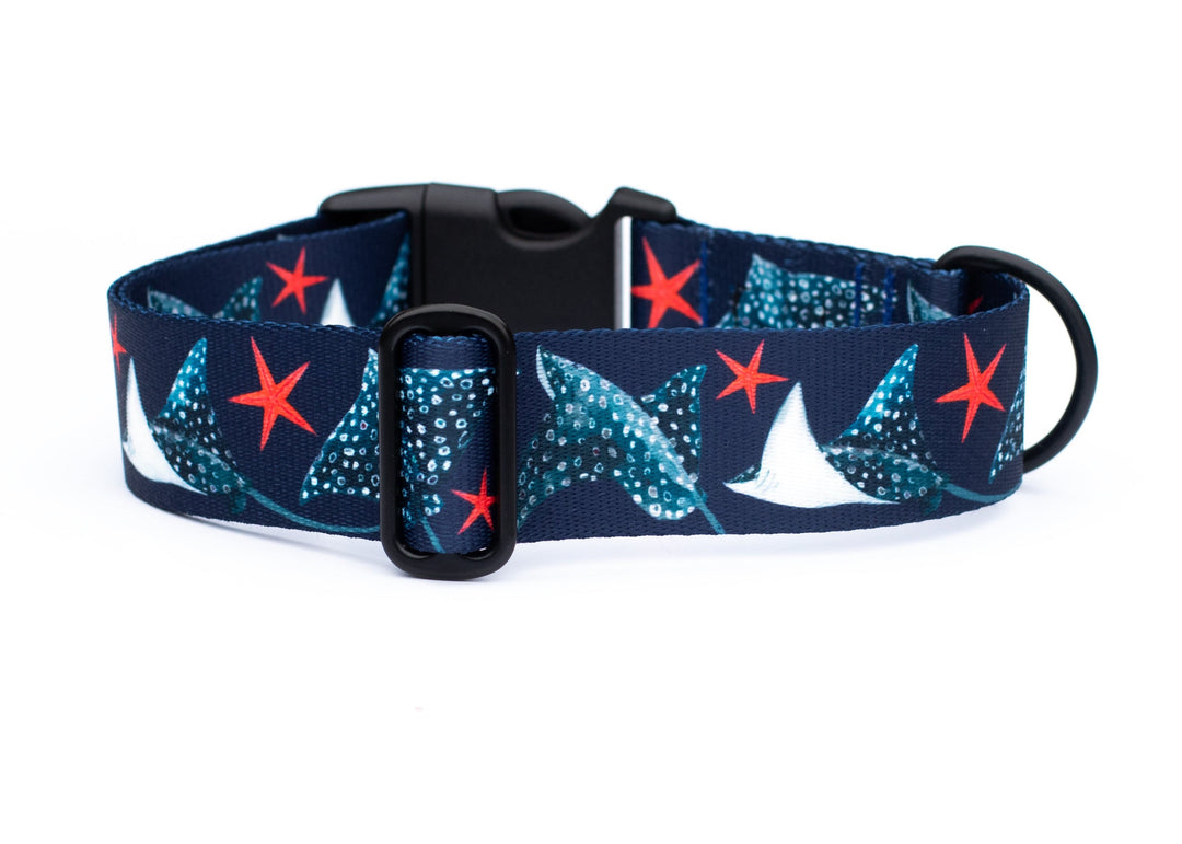 Spotted Eagle Ray Dog Collar | SeaFlower Co