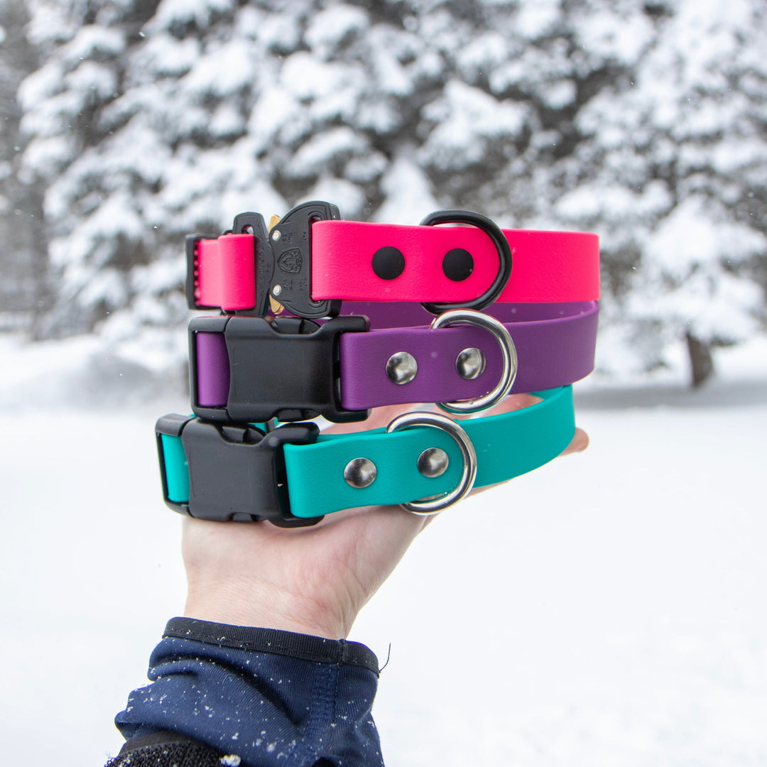 BioThane® Collar With Quick Release Buckle