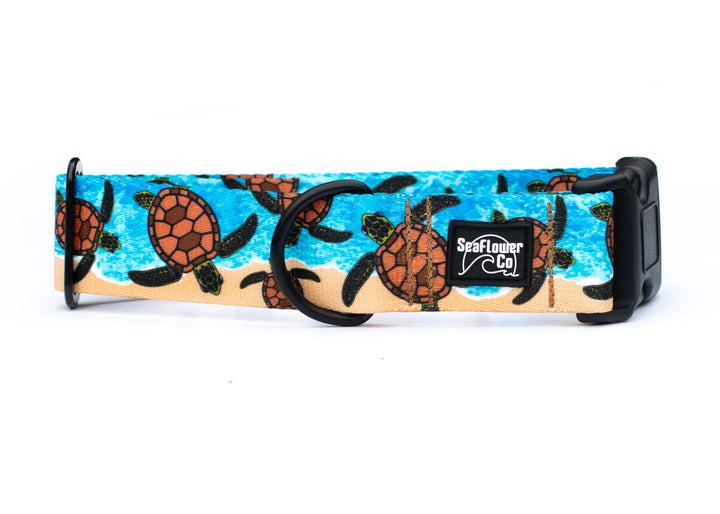 Dog collar with turtle design on a blue background