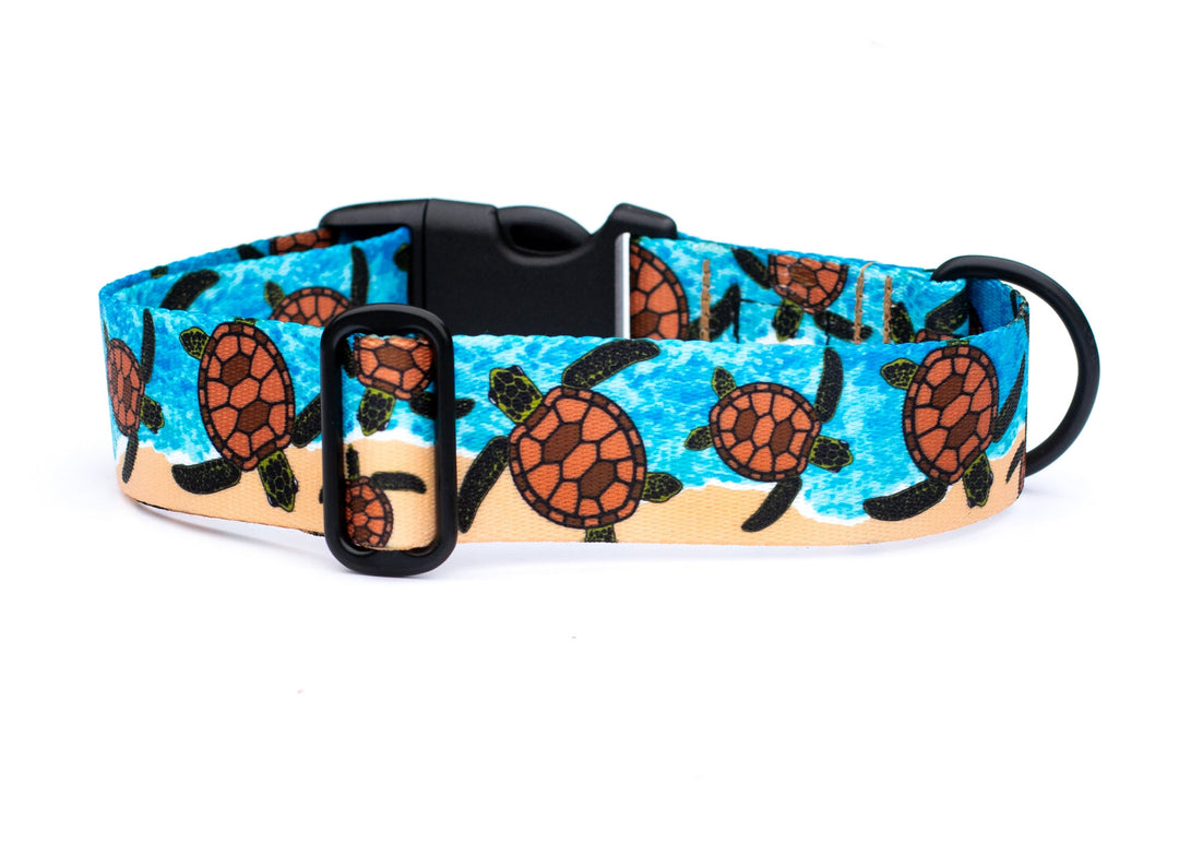 Dog collar with turtle pattern on a blue and beige background