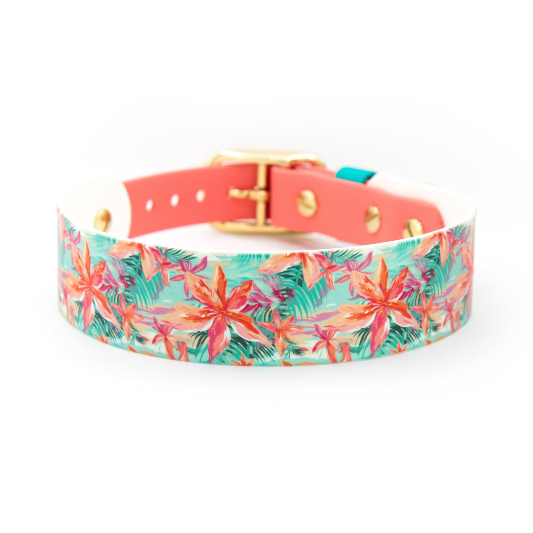 1.5" UV-Printed Tapered BioThane® Collar | Pick Your Pattern