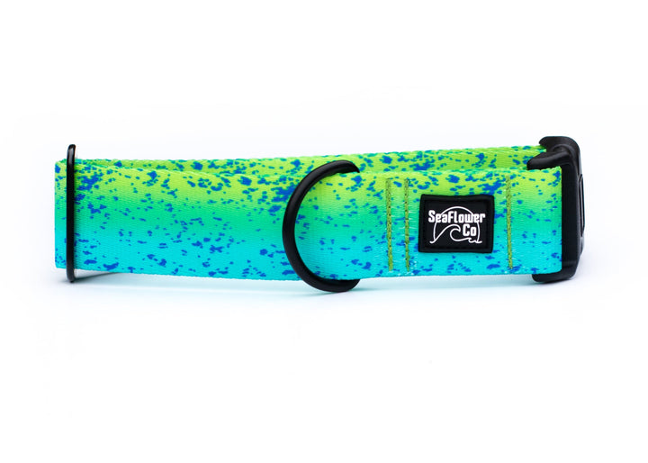 Mahi Mahi Dog Collar | SeaFlower Co