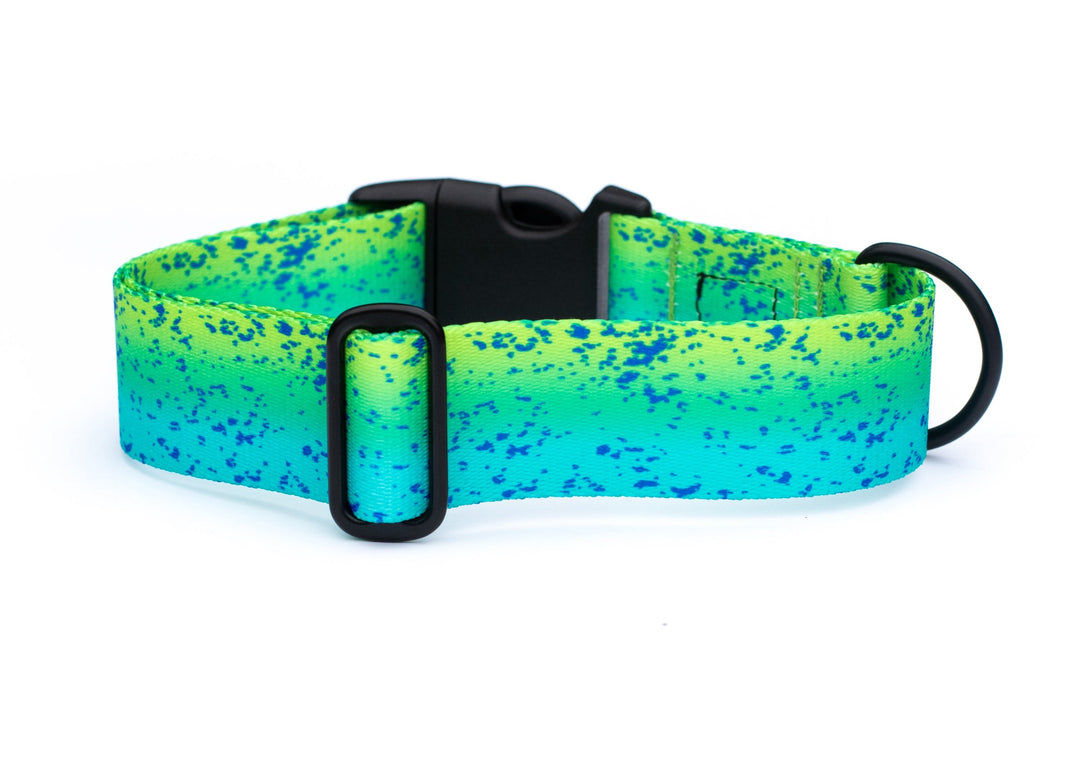 Mahi Mahi Dog Collar | SeaFlower Co