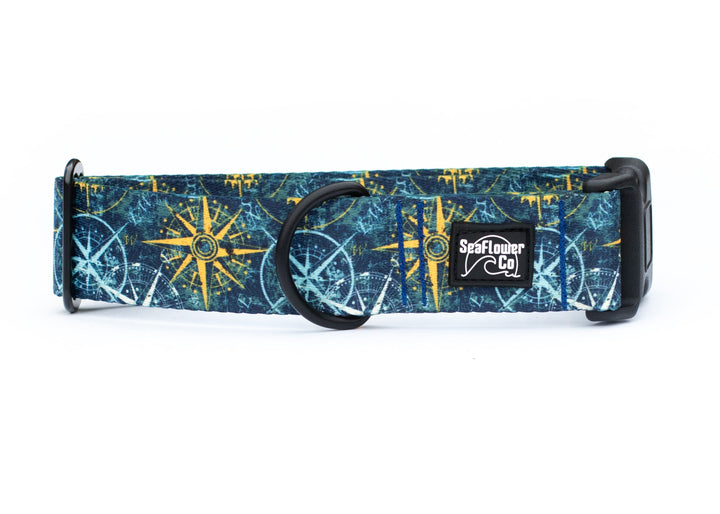 Dog collar with compass pattern on a white background